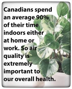 Hidden danger of household cleaners and vocsYours Truly Nutrition & Wellness